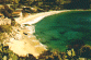 Cavoli