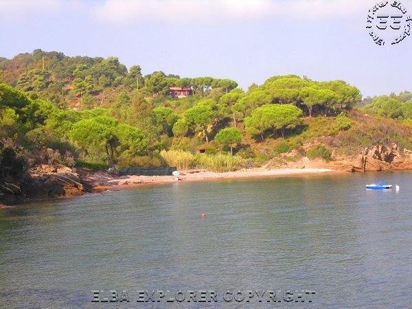 Spiaggia Di Ferrato Uno Capoliveri Isola Delba