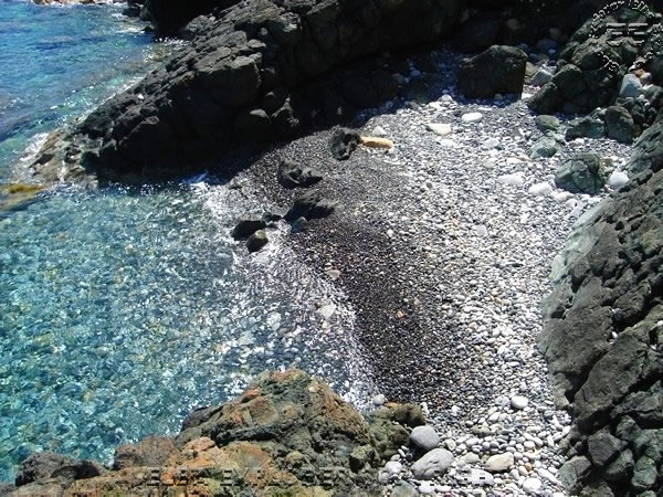 Spiaggia E Scogli Il Cotone Marciana Marina Isola Delba