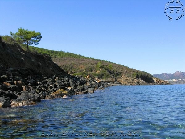 Spiaggia Di Miniera Dei Sassi Neri Capoliveri Isola Delba